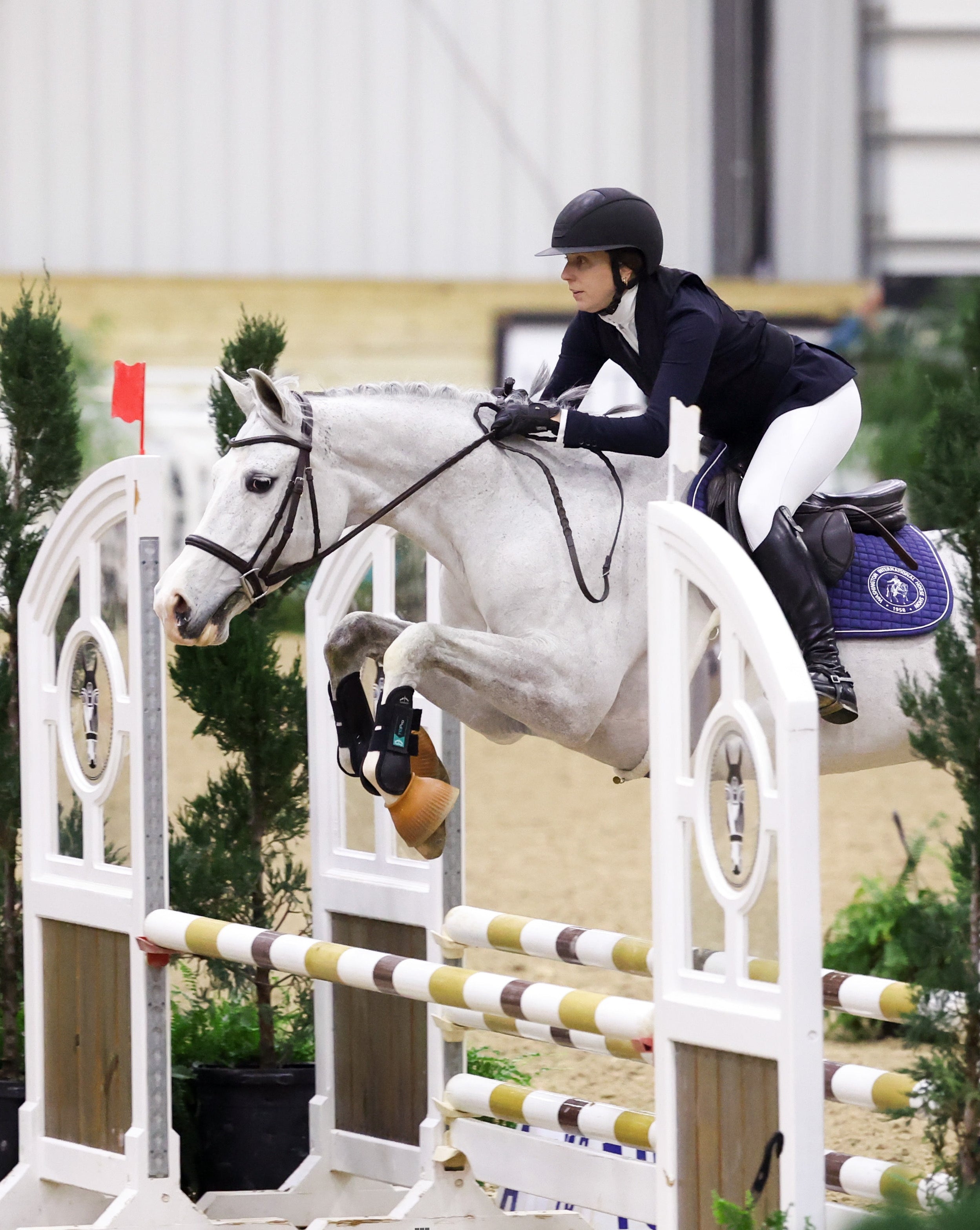 Equestrian event with a horse and rider jumping over an obstacle in an arena.