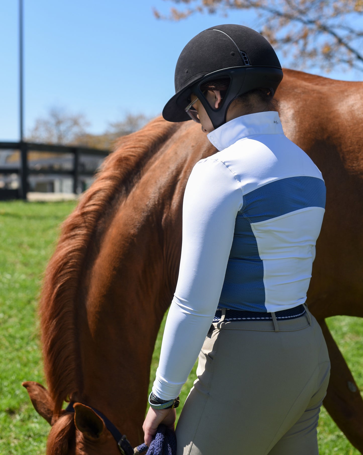 Sterling Show Shirt 2.0 - Tempest